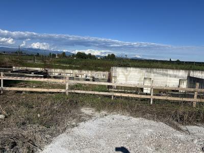 Via Toffanelle Nuove, Zevio, Vénétie 37059, Italie