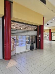 Piazza Donatori di Sangue, Cerea, Veneto 37053, Itália