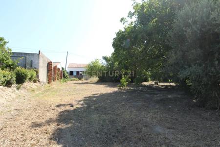 Vila Nova Da Barquinha, Santarem 2305-516, Portugal