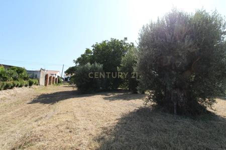 Vila Nova Da Barquinha, Santarem 2305-516, Portugal