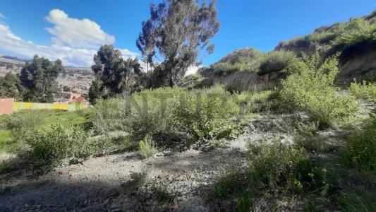 Achocalla, La Paz 00001, 玻利維亞