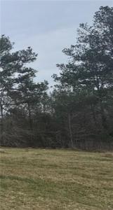 25 BIG ISLAND Loop, Deville, Louisiana 71328, HOA KỲ