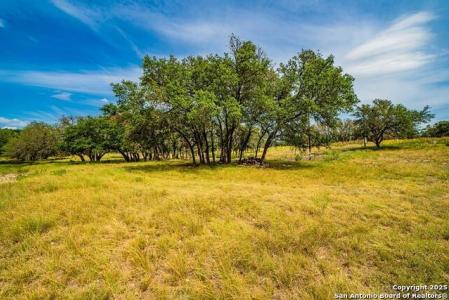 326 Blue Oak Tr, Harper, Texas 78631, USA