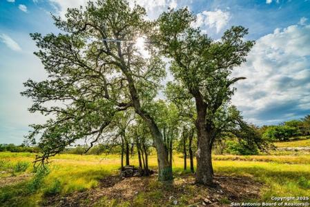 326 Blue Oak Tr, Harper, Texas 78631, Estados Unidos