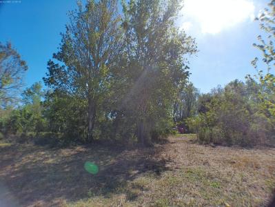 15683 NW 252nd Street, Okeechobee, Florida 34972, USA
