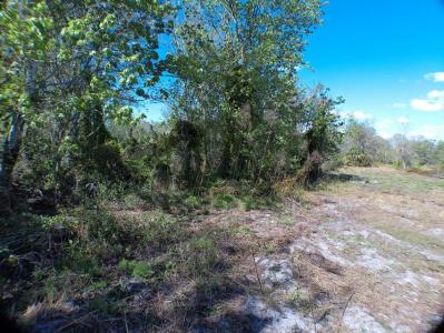 15683 NW 252nd Street, Okeechobee, Florida 34972