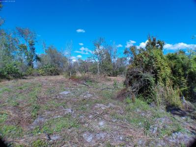 15683 NW 252nd Street, Okeechobee, Florida 34972