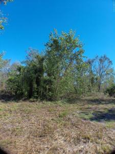 15683 NW 252nd Street, Okeechobee, Florida 34972