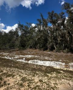 0 Allison Ave, Lake Wales, Florida 33859, USA