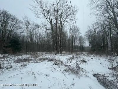Tbd County Route 84, Hastings, 纽约州 13706, 美国