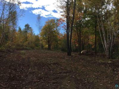 47XX Munger Shaw Rd , Parcel C, Saginaw, Minnesota 55779