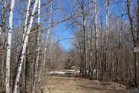 47XX Munger Shaw Rd , Parcel C, Saginaw, Minnesota 55779