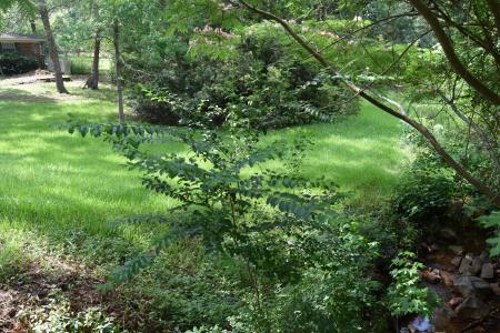 Lot #70 Hinton Drive, Minden, Louisiana 71055