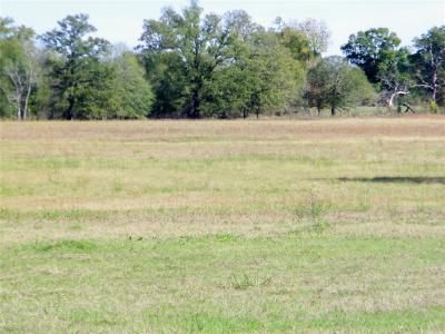 Shady Lane Lot 5, Idabel, Oklahoma 74745, Estados Unidos
