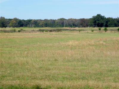 Fossil Ridge Trail Lot 4, Idabel, Oklahoma 74745, USA