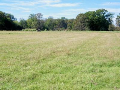 Fossil Ridge Trail Lot 4, Idabel, Oklahoma 74745, USA