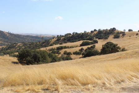 71901 Vineyard Canyon Road, San Miguel, California 93451, USA