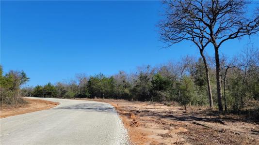 Lot 34 High Meadow Trail, Franklin, Texas 77856
