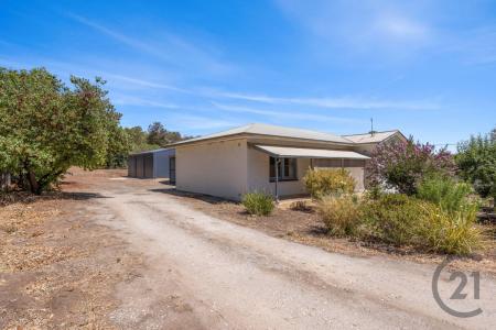 95 Penrice Road, Angaston, SA 5353, Australia