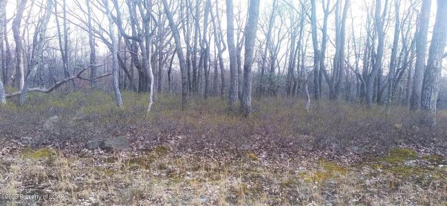 ERII 397-8 Crooked Stick Lane, Hazle Twp, Pennsylvania 18202, Stati Uniti