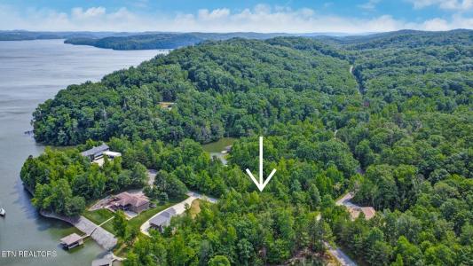 Mariners Cove Lot 95, Rockwood, Tennessee 37854, Estados Unidos
