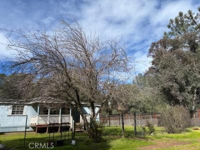 1845 Spring Valley Road, Clearlake Oaks, 加州 95423, 美國