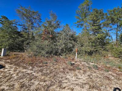 xx 90, Defuniak Springs, Floride 32433, États-Unis
