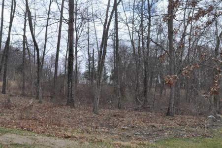 Stonecrest Ct Lot #4, Hopewell Junction, Nueva York 12533, Estados Unidos