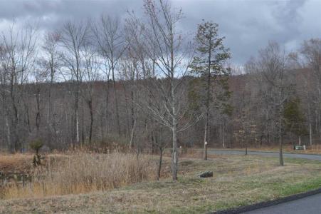 Stonecrest Ct Lot #4, Hopewell Junction, Nueva York 12533, Estados Unidos