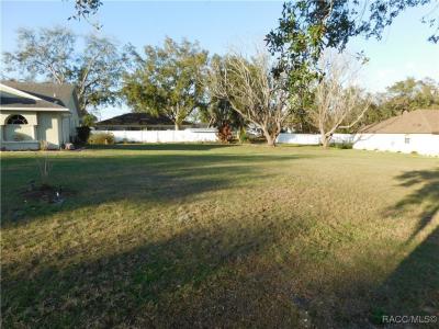 2512 N Brentwood Circle, Lecanto, Floride 34461, États-Unis