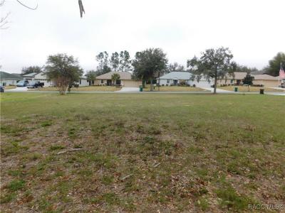 2512 N Brentwood Circle, Lecanto, Floride 34461, États-Unis
