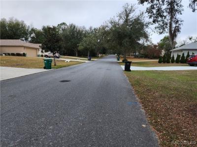 2512 N Brentwood Circle, Lecanto, Floride 34461, États-Unis
