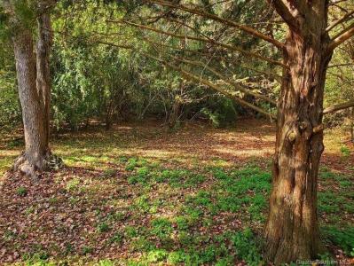 1751 Hammond Street/ 131 Walter Road, Hornbeck, Louisiana 70667, Estados Unidos