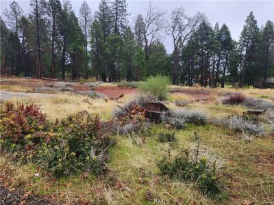 13744 W Park Drive, Magalia, California 95954, USA