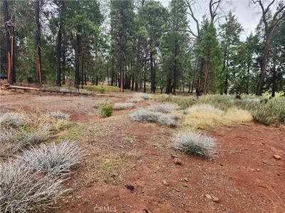 13744 W Park Drive, Magalia, Kalifornien 95954, USA