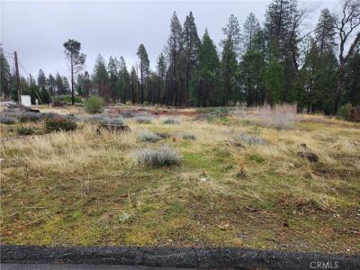13744 W Park Drive, Magalia, California 95954, USA