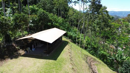 Jabillos , Turrialba Turrialba, Cartago 30501, コスタリカ