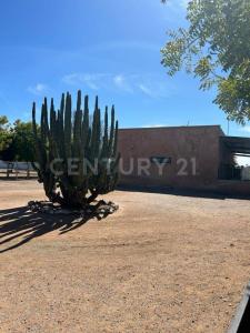 Camino a San Miguel de Horcasitas s/n,, Hermosillo, 索诺拉 83300, 墨西哥