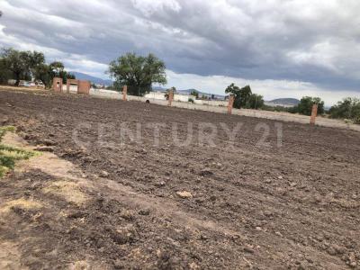 TEJOCOTE S/N Fracción II,, Tolcayuca, Hidalgo 43860, Mexique