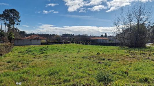 ויזאו, ויזאו 3515-321, פורטוגל