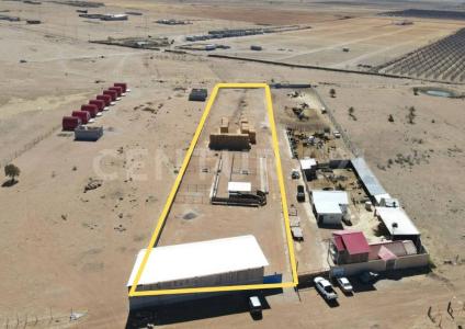 Cuauhtémoc, Chihuahua 31590, Mexico