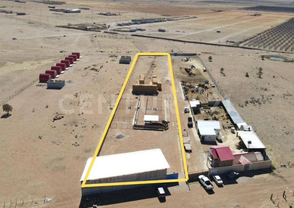 Cuauhtémoc, Chihuahua 31590, Mexico