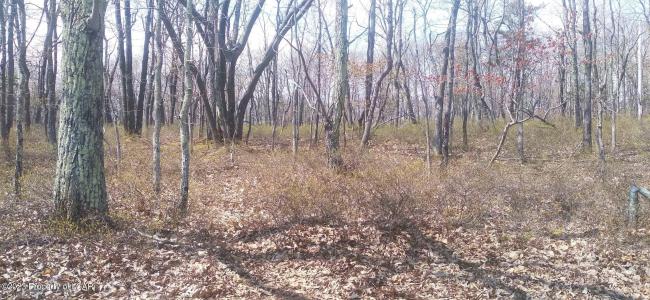 ERII 397 Crooked Stick Lane, Hazle Twp, Pennsylvanie 18202, États-Unis