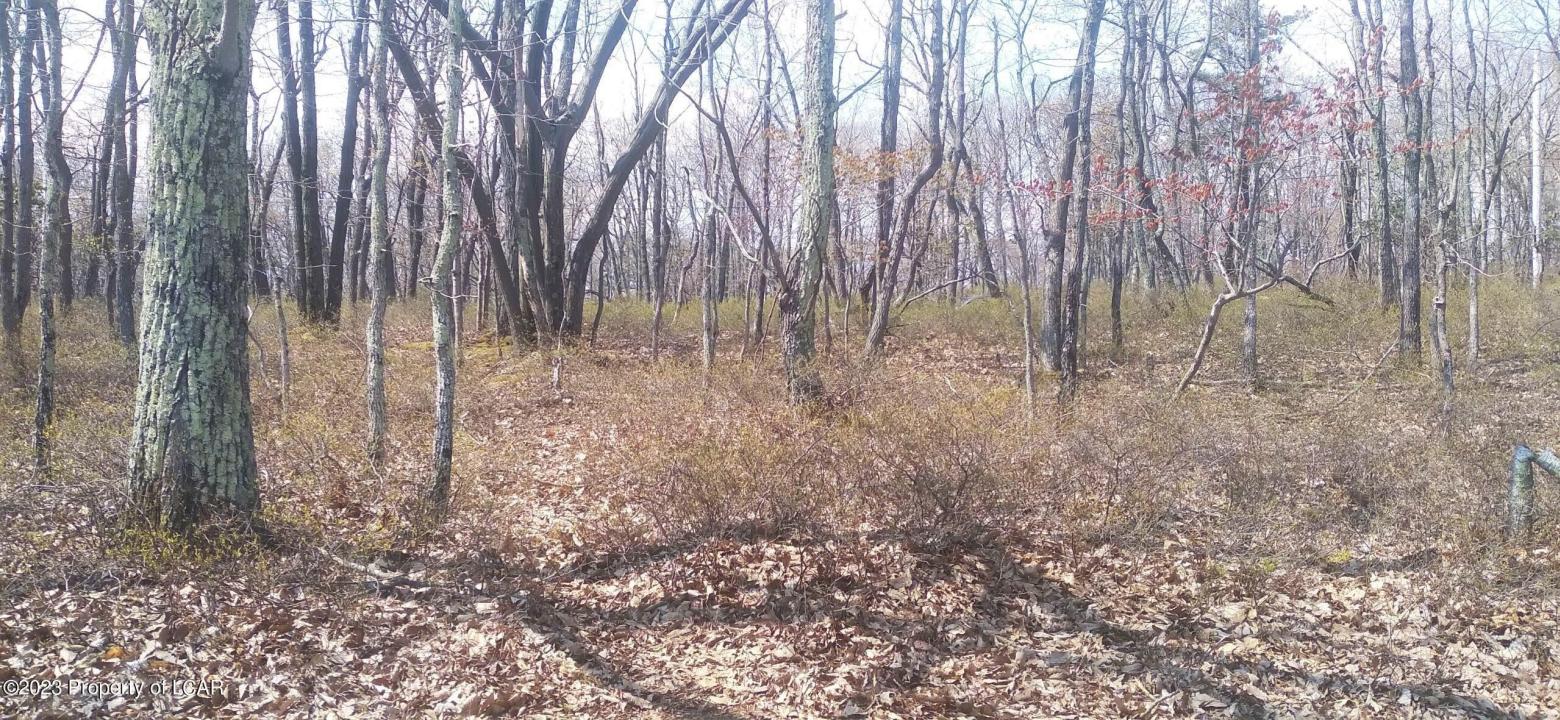 ERII 397 Crooked Stick Lane, Hazle Twp, Pennsylvania 18202, Stati Uniti