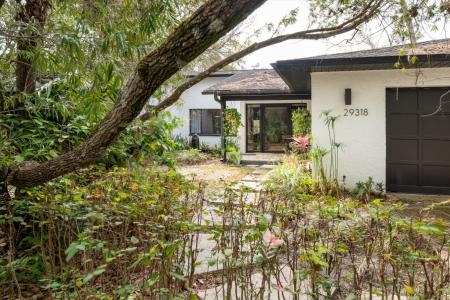 29318 Whippoorwill Ln, Wesley Chapel, 佛罗里达州 33543, 美国