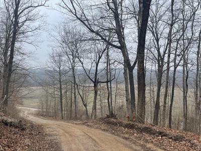 Sec 29, Brownstown, Illinois 62418, USA