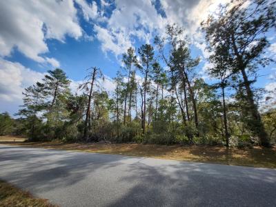 TBD SW 32 Circle, Ocala, Florida 34473, USA