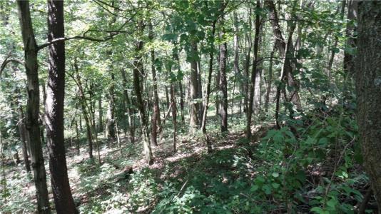 Glendale Rd-TBD , New Cumberland, מערב וירג'יניה 26047, ארצות הברית של אמריקה