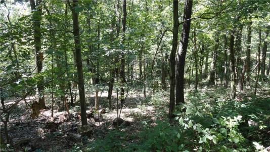 Glendale Rd-TBD , New Cumberland, מערב וירג'יניה 26047, ארצות הברית של אמריקה