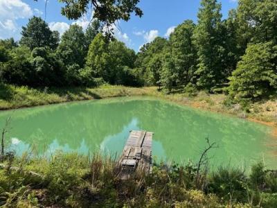 877 Highway 63, Williford, Arkansas 72482-7105, HOA KỲ